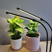 Load image into Gallery viewer, 2 Headed LED Indoor Plant Grow Lights - White - Cheeky Plant Co. - International
