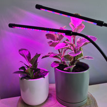 Load image into Gallery viewer, 2 Headed LED Indoor Plant Grow Lights - Red/Blue - Cheeky Plant Co. - International
