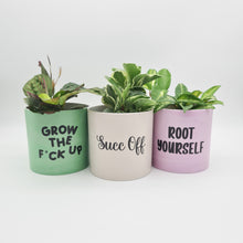 Load image into Gallery viewer, Trio Succ It Up Pots Pack - Cheeky Plant Co. Pots - 12.5cmD x 12cmH - International
