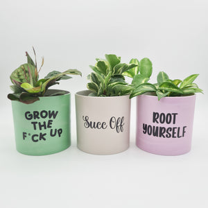 Trio Succ It Up Pots Pack - Cheeky Plant Co. Pots - 12.5cmD x 12cmH - International