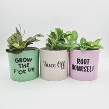 Load image into Gallery viewer, Trio Succ It Up Pots Pack - Cheeky Plant Co. Pots - 12.5cmD x 12cmH - International
