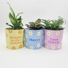 Load image into Gallery viewer, Trio Slay Queen Pots Pack - Cheeky Plant Co. Pots - 12.5cmD x 12cmH - International
