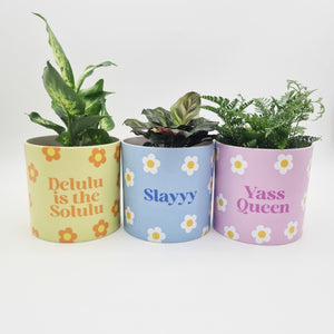 Trio Slay Queen Pots Pack - Cheeky Plant Co. Pots - 12.5cmD x 12cmH - International