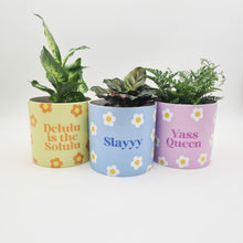 Load image into Gallery viewer, Trio Slay Queen Pots Pack - Cheeky Plant Co. Pots - 12.5cmD x 12cmH - International
