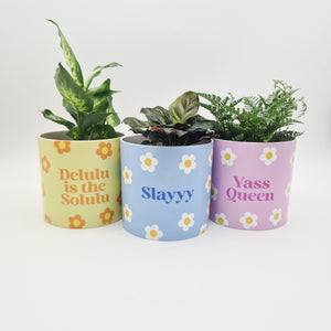 Trio Slay Queen Pots Pack - Cheeky Plant Co. Pots - 12.5cmD x 12cmH - International