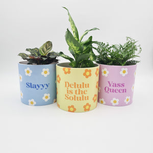 Trio Slay Queen Pots Pack - Cheeky Plant Co. Pots - 12.5cmD x 12cmH - International