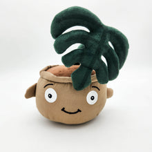 Load image into Gallery viewer, Cheeky Plant Plushie - International
