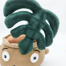 Load image into Gallery viewer, Cheeky Plant Plushie - International
