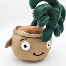 Load image into Gallery viewer, Cheeky Plant Plushie - International
