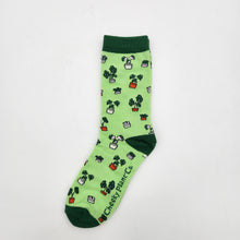 Load image into Gallery viewer, Plant Lover Socks - Plant Pattern - Cheeky Plant Co. - International
