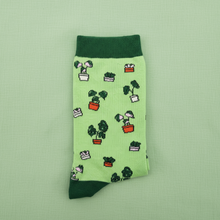 Load image into Gallery viewer, Plant Lover Socks - Plant Pattern - Cheeky Plant Co. - International
