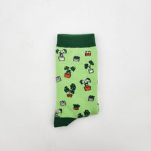 Load image into Gallery viewer, Plant Lover Socks - Plant Pattern - Cheeky Plant Co. - International
