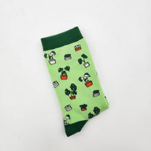 Load image into Gallery viewer, Plant Lover Socks - Plant Pattern - Cheeky Plant Co. - International
