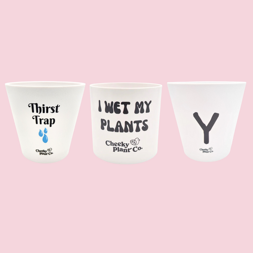 Hoe Pots Pack - Cheeky Plant Co. Pots