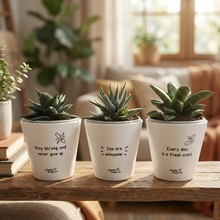 Load image into Gallery viewer, Trio Pack - Positive - Cheeky Plant Co. Pots - 11cmD x 11cmH - International
