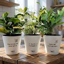 Load image into Gallery viewer, Trio Pack - Positive - Cheeky Plant Co. Pots - 11cmD x 11cmH - International
