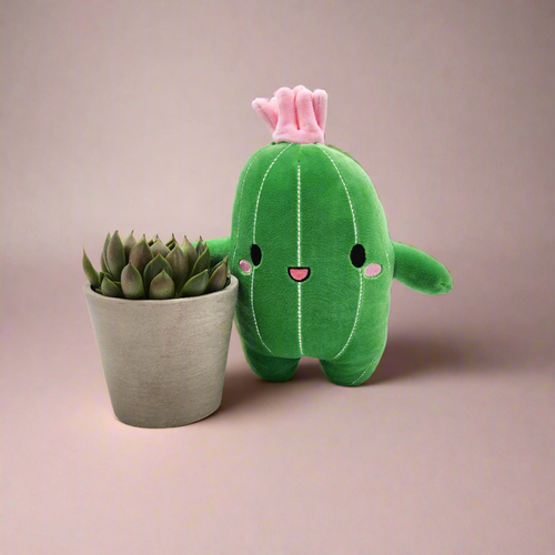 Succulent & Cactus Plushie Gift - Sydney Only