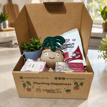 Load image into Gallery viewer, Thank You - Succulent Hamper / Succulent Gift Box
