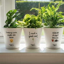 Load image into Gallery viewer, Cheeky Plant Co. pots in 1:1 format
