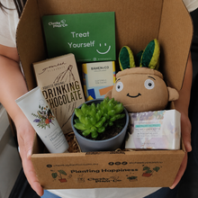 Load image into Gallery viewer, Pamper - Succulent Hamper / Succulent Gift Box

