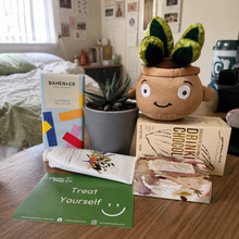 Load image into Gallery viewer, Pamper - Succulent Hamper / Succulent Gift Box
