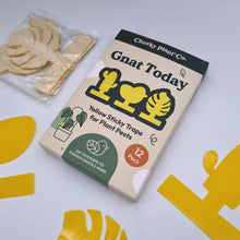 Load and play video in Gallery viewer, Gnat Today - Fungus Gnat Traps (Pack of 12) - Cheeky Plant Co. - International
